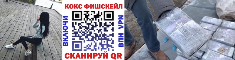 mega   Домодедово  Кокаин Эквадор 
