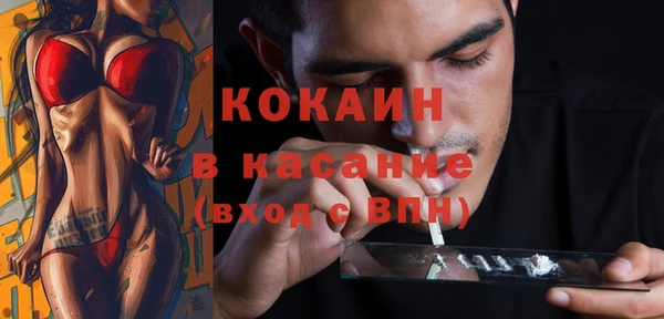 стаф Дмитровск