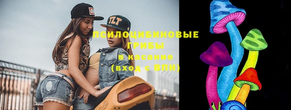стаф Дмитровск