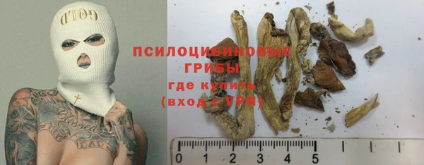 стаф Дмитровск