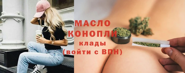 стаф Дмитровск