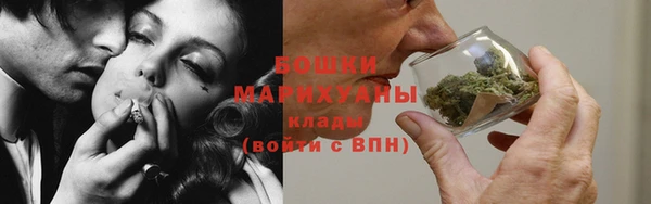 стаф Дмитровск