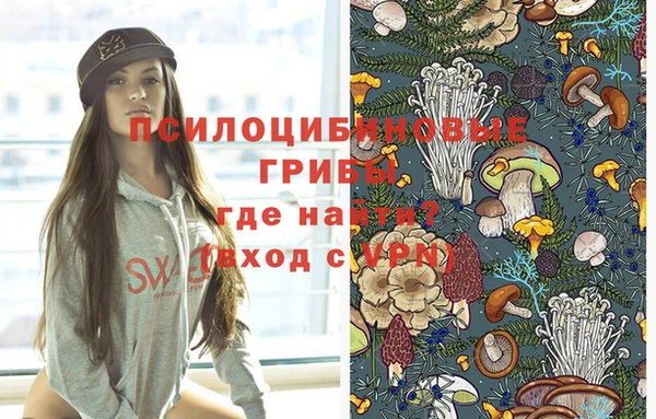 спайс Дмитров