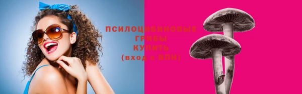 стаф Дмитровск