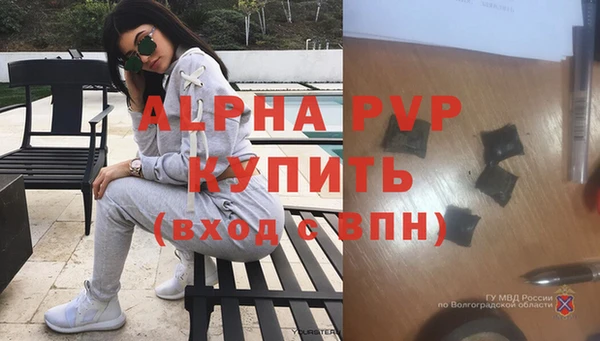 стаф Дмитровск